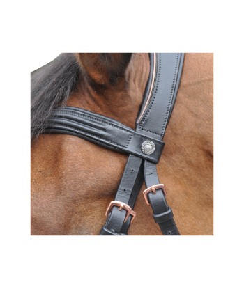 Bridon CANTER Rose Gold livraison gratuite