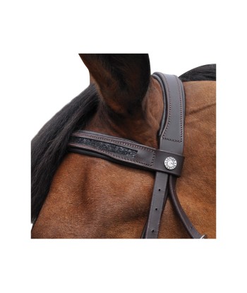 Bridon CANTER Black Strass acheter