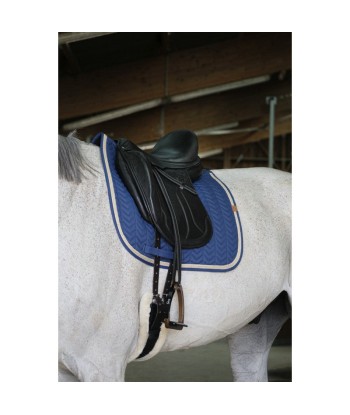 Tapis de selle EQUITHEME Softy dressage marine l'évolution des habitudes 