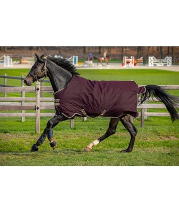 Amigo Hero Ripstop Couverture d'Extérieur 50g - Horseware de votre