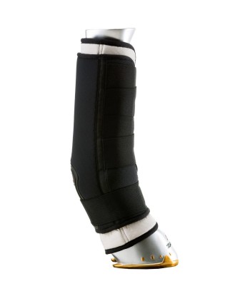 ZANDONA SUPPORT BOOT AIR REAR - BLACK en ligne des produits 