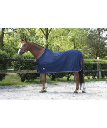 Chemise EQUITHÈME "MICROFLEECE" acheter en ligne