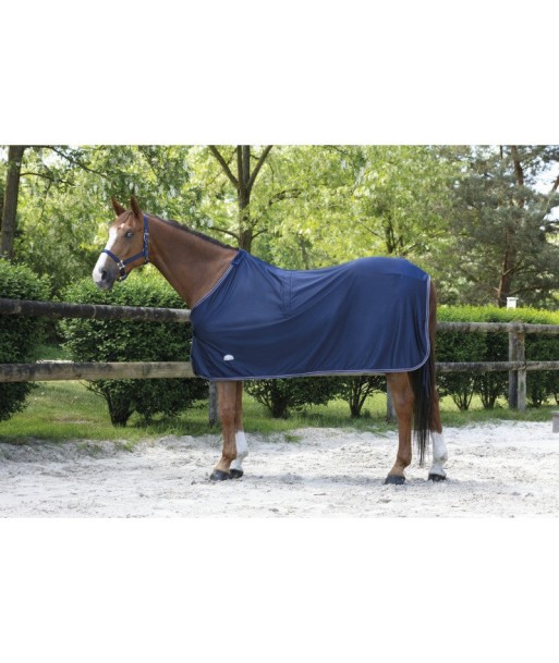 Chemise EQUITHÈME "MICROFLEECE" acheter en ligne