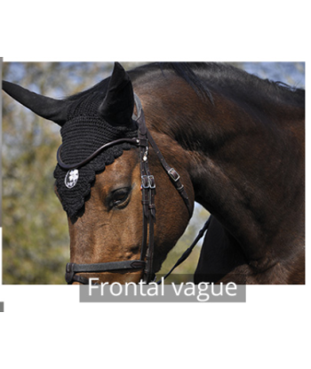 BRIDON ÉVOLUTION POUR HACKAMORE | SANS BRANCHES - IHWT frontal vague et Strass prix