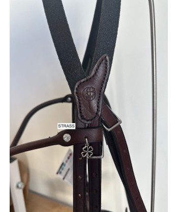 BRIDON ÉVOLUTION POUR HACKAMORE | SANS BRANCHES - IHWT frontal vague et Strass prix