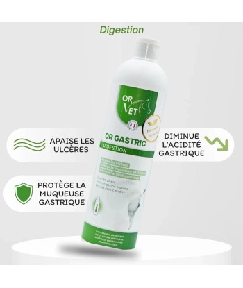 OR GASTRIC - OR VET En savoir plus