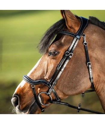 Techno bridle - HFI Par le système avancé 