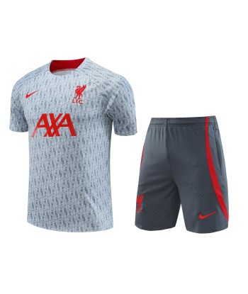 LIVERPOOL TRAINING GREY/RED pas cher