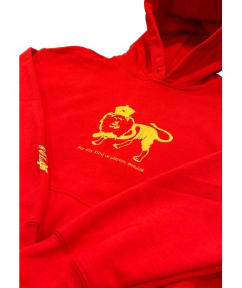 SOLAR COURT - KING HOODIE RED la colonne vertébrale